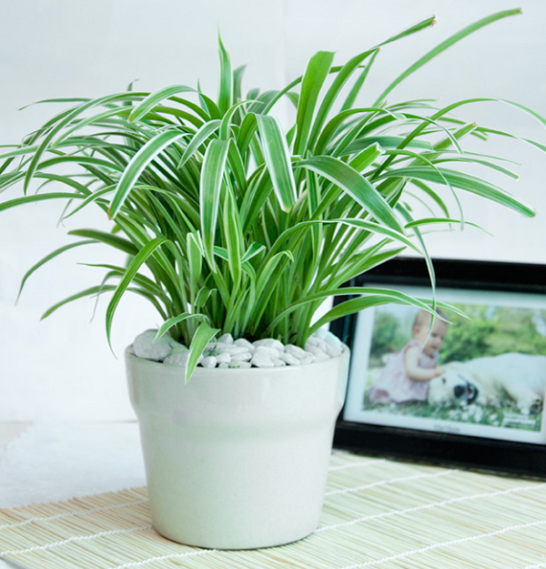 cách hạn chế sóng vô tuyến cách hạn chế sóng vô tuyến